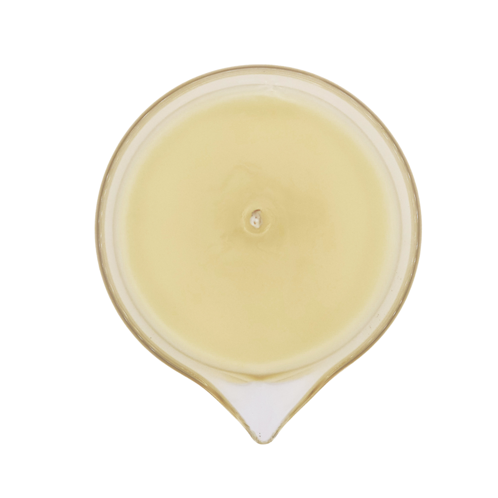 Limoncello Crème Tallow Lotion Candle